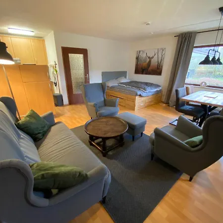 Apartment Wohlfuhlwohnung Medebach